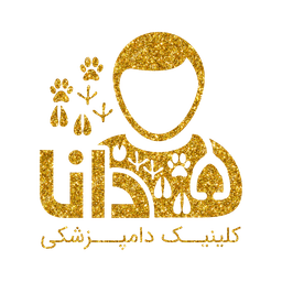 پت شاپ دانا